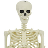 Halloween Decoration Skeleton 2 pcs White Polypropylene 42020050