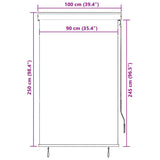 Outdoor Roller Blind 100x250 cm Cream 145959