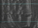 Weed & Root Control Mat PP 1x50 m Black 45222