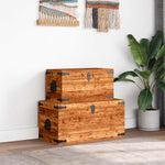 Storage Chest Set 2 Pieces Rough Mango Wood 241634