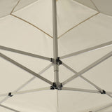 Professional Folding Party Tent with Walls Aluminium 2x2 m Cream 48930