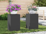 Plant Stand 2 pcs Black 24 x 24 x 55 cm Steel 865813