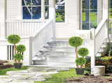 Decorative Artificial Trees Boxwood Ball Topiary Trees Set of 2 in Pot, Fake Plants for Home Indoor T3398P423072