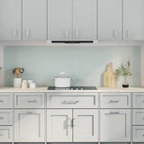 Kitchen Backsplash 2 pcs White 100 x 60 cm Tempered Glass 3415424
