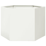 Garden Planter White Hexagon 69x60x45 cm Steel 851123
