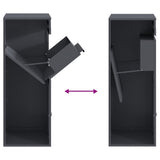 Parcel Drop Box with Storage Anthracite 41 x 38 x 103 cm Steel 874935