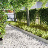 Lawn Edging 50 pcs Silver 100 x 0.05 x 20 cm Galvanised Steel 3335779