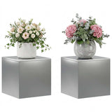Plant Stand 2 pcs Silver 40 x 40 x 40 cm Stainless Steel 8012527