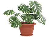 Plant Pots 6 pcs Brick Red 39 x 32 cm Plastic 3403274