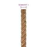 Rope 100% Jute 12 mm 250 m 143796