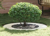 suitable for Flat Tree Rings 5 pcs White 50 / 80 cm Steel 873693