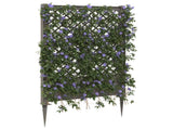 Trellis with Spike Grey 99 x 6 x 165 cm PP 42041744