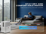10L/Day 2000ML Portable Quiet Dehumidifier for Home Laundry Room Bedroom Basement, Electric Moisture T3398P378791