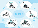 6 in 1 Kids Trike Push Bike w/ Push Handle, Canopy, 5-point Safety Belt, Storage, Footrest, Brake, T3398P347546