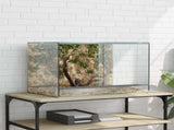 Terrarium with Storage Transparent 60 x 40 x 40 cm Glass 42020391