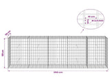 Gabion with 3.5 mm Wire and 5x10 cm Mesh 250x50x100 cm 3462815