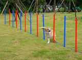 Dog Agility Training Equipment 10773071