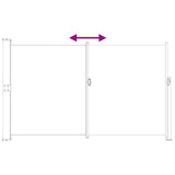 Retractable Side Awning Anthracite 300 x 180 cm Polyester 42035308