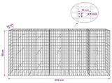 Gabion with 5 mm Wire and 5x10 cm Mesh 250x20x150 cm 3464567