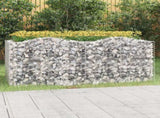 Arched Gabion Raised Bed 200x100x100 cm Galvanised Iron 153554