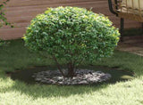 suitable for Flat Tree Ring Olive green 50/80 cm Steel 873696