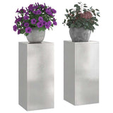 Plant Stand 2 pcs Silver 24 x 24 x 55 cm Stainless steel 865817