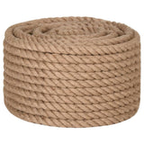 ZNTS Rope 100% Jute 20 mm 100 m 143798