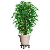 Plant Trolleys with Wheels 3 pcs Diameter 40 cm Black 275 kg 3143919