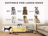 Dog House 33922428