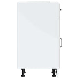Kitchen Base Cabinet Kalmar High Gloss White Engineered Wood 853459