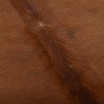 ZNTS Real Cow Hide Rug Brown and White 150x170 cm 284344