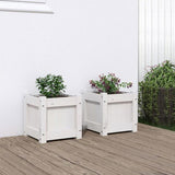 Garden Planters 2 pcs White Solid Wood Pine 837397