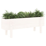 Garden Raised Bed White 101x30x38 cm Solid Wood Pine 825185