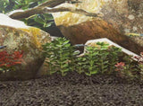 Volcanic Rocks 25 kg Black 1-2 cm 3217181
