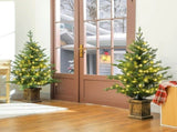Set of Two Artificial 4ft Christmas Trees, with Lights - Green T3398P424888