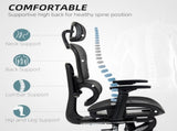 Multi-Adjustable Mesh Office Chair - Black T3398P377430