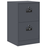 File Cabinet Anthracite 45.5 x 42 x 74.5 cm Cold-Rolled Steel 891612