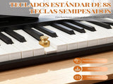 GPPS01-106 88 Key Folding Semi-Weighted Standard Keyboards Digital 60250873