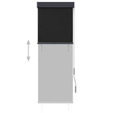 Outdoor Roller Blind 60x250 cm Anthracite 145946