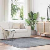 Shaggy Rug High Pile NAVARRA Light Grey 200x200 cm Polyester 4102882