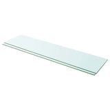Shelves 2 pcs Panel Glass Clear 100x25 cm 3051585