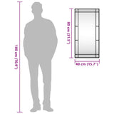 Wall Mirror Black 40x80 cm Rectangle Iron 358629