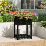 Planter with Shelf Black 54x54x81 cm Solid Wood Pine 823777