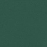 Retractable Side Awning Dark Green 160x600 cm 4004530