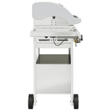 Gas BBQ Grill with 4 Burners Silver Stainless Steel 367590