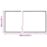 Clear Tarpaulin with Eyelets 2x12 m Polyethylene 4018554