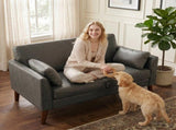 2 Seater Sofa, 132 cm Modern Small Sofa with Solid Wood Legs and 2 Pillows for Small Space, Grey T3398P548096