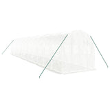 Greenhouse with Steel Frame White 24 m 12x2x2 m 3188032