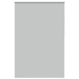 ZNTS Roller Blind Blackout Light Grey 150x210 cm Fabric Width 146.6 cm Polyester 4011450