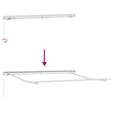Manual Retractable Awning Brown 300x250 cm 3215633